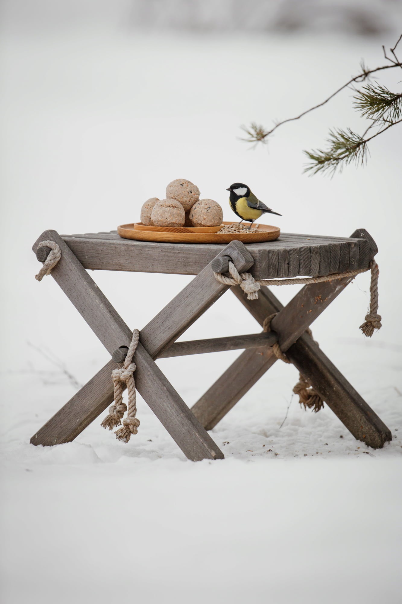 EcoFurn Lilli Tisch Birke - Weiß lackiert