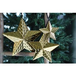 Fink Stellare Ornament
