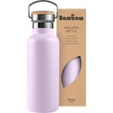 Insulated Stainless Steel Bottle, 750 ml 