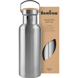 Insulated Stainless Steel Bottle, 750 ml 