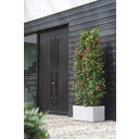 elho vivo next Long Planter - 80 cm - white