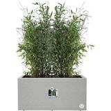 elho vivo next Long Planter - 80 cm