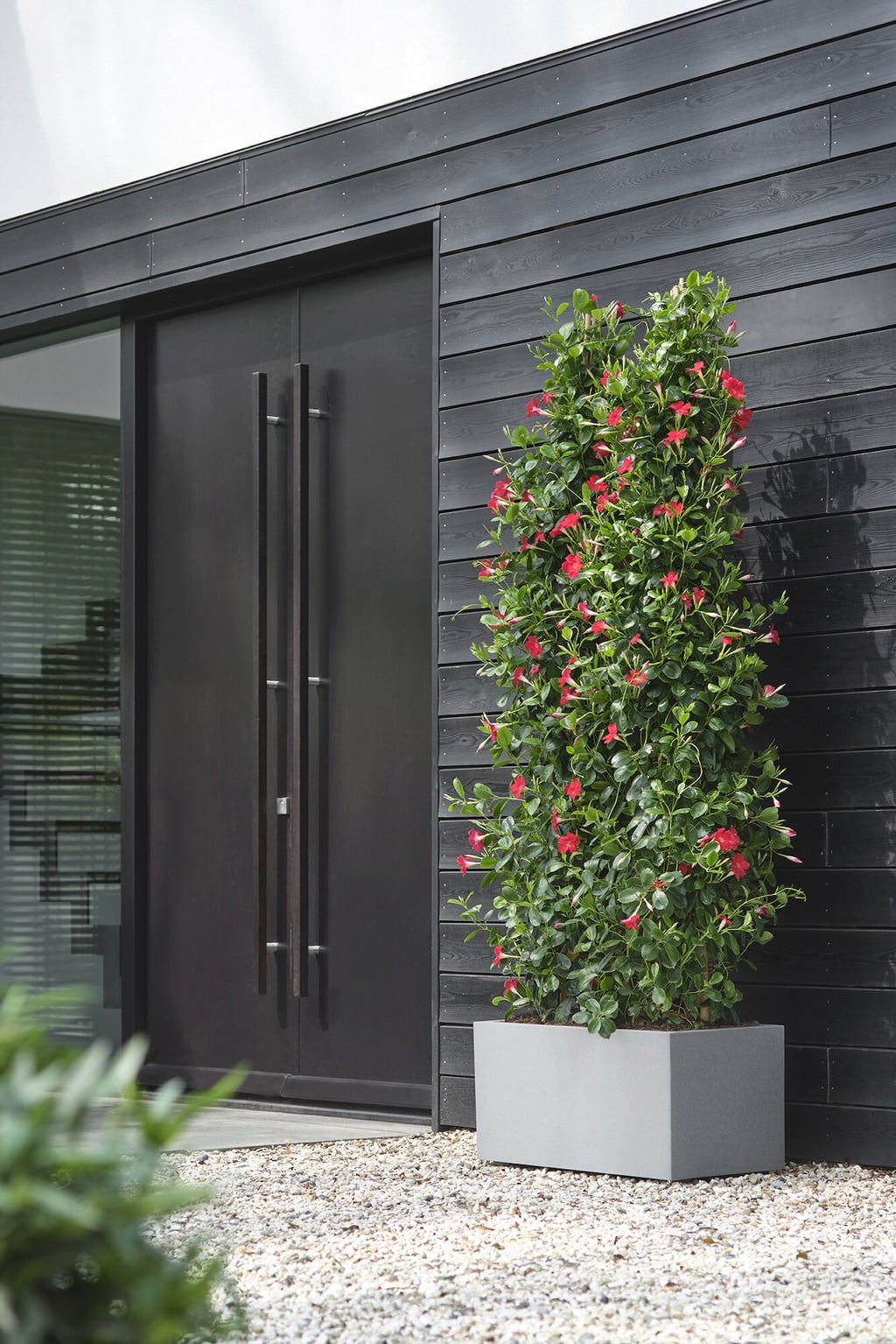 elho Pflanzkasten vivo next lang - 80 cm - living beton