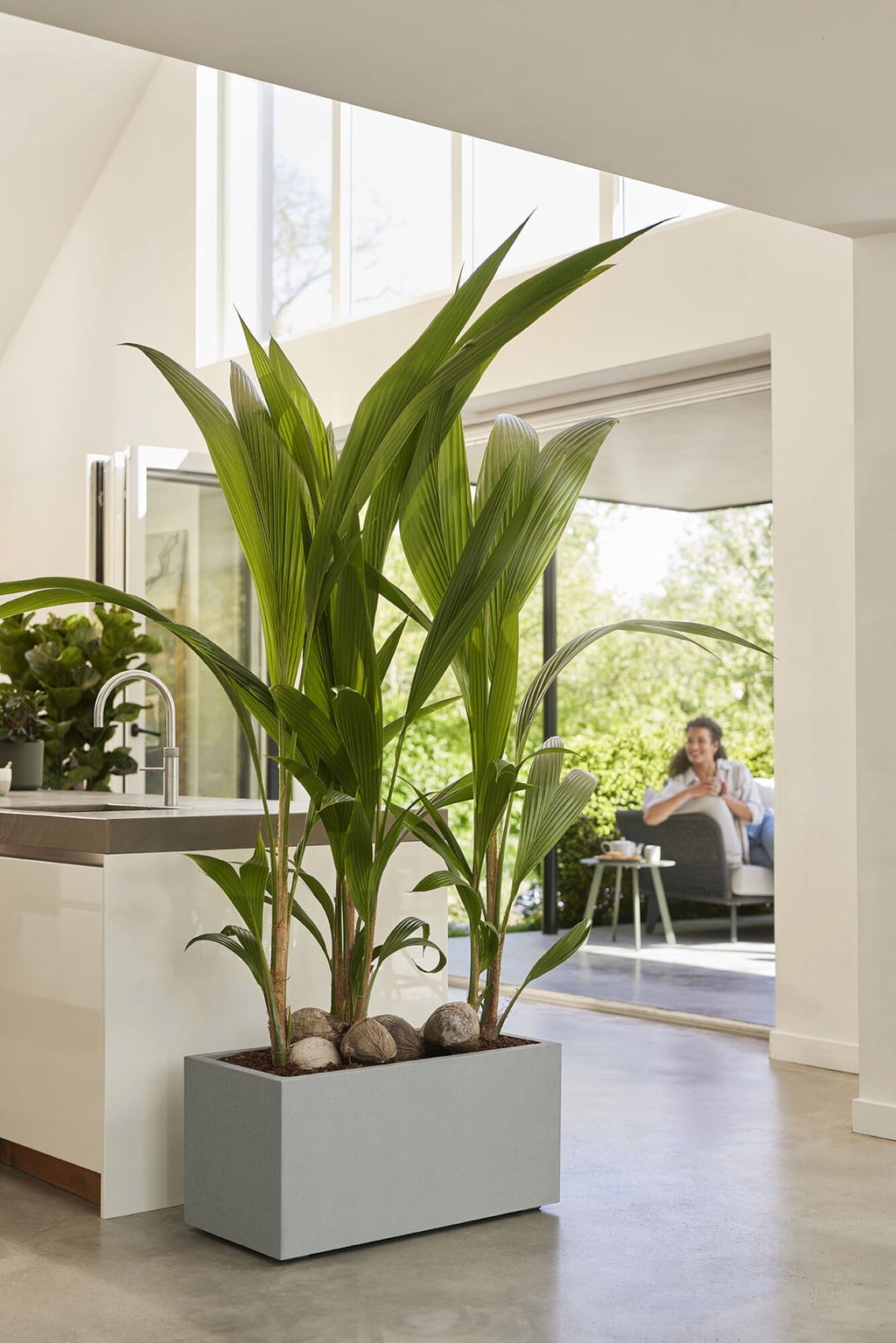 elho Pflanzkasten vivo next lang - 80 cm - living beton