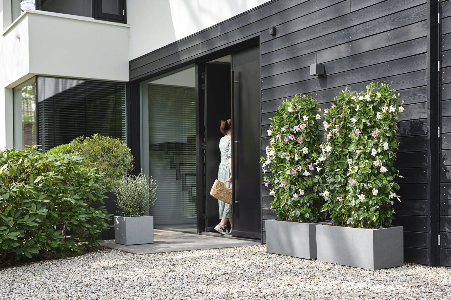 elho Pflanzkasten vivo next lang - 80 cm - living beton