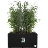 elho Pflanzkasten vivo next lang - 80 cm