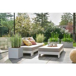 elho Pflanztopf vivo next quadrat - 30 cm - living beton