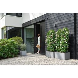 elho vivo next Square Planter - 30cm - living concrete