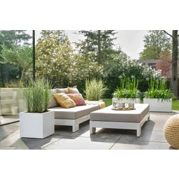 elho vivo next Square Planter - 40cm - white