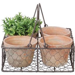 Aged Terracotta Flowerpts- 4 Pots in a Basket