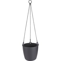 elho brussels hanging basket, 18 cm