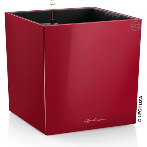 Lechuza Jardinière CUBE Premium 50 - Rouge scarlet brillant