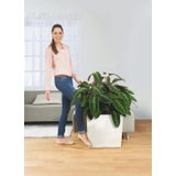 Lechuza Plantenbak CUBE Premium 50