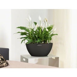 Lechuza CUBETO Stone 30 Planter - Graphite Black