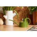 Indoor Metall Gießkanne 