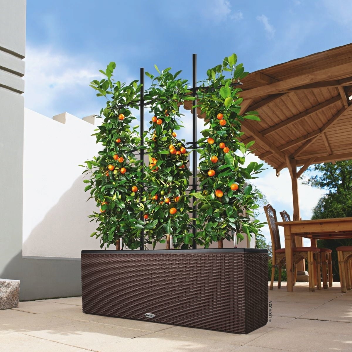 Lechuza TRIO Cottage 30 Planter - Mocha
