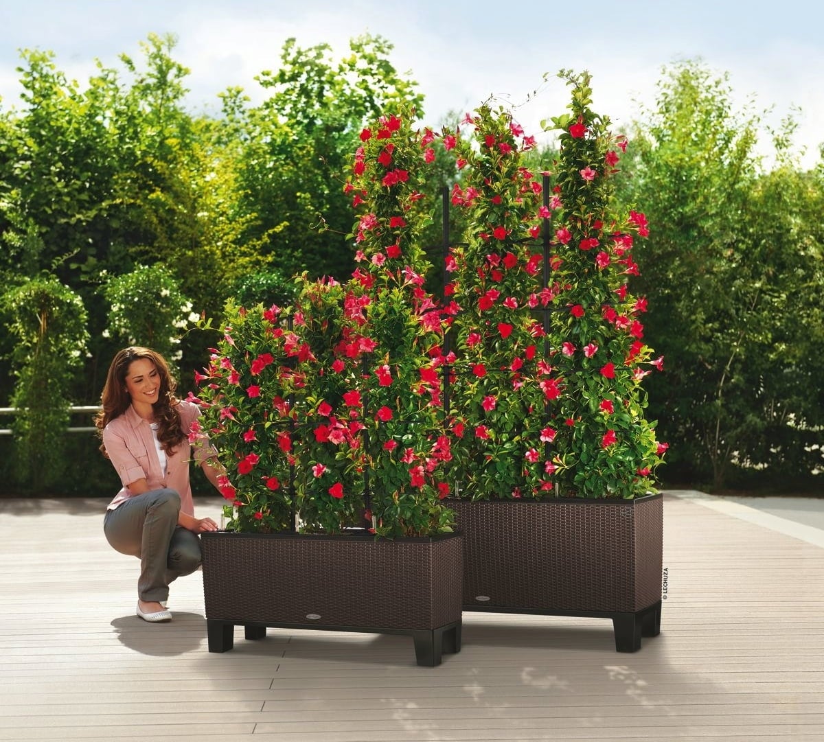 Lechuza TRIO Cottage 30 Planter - Mocha