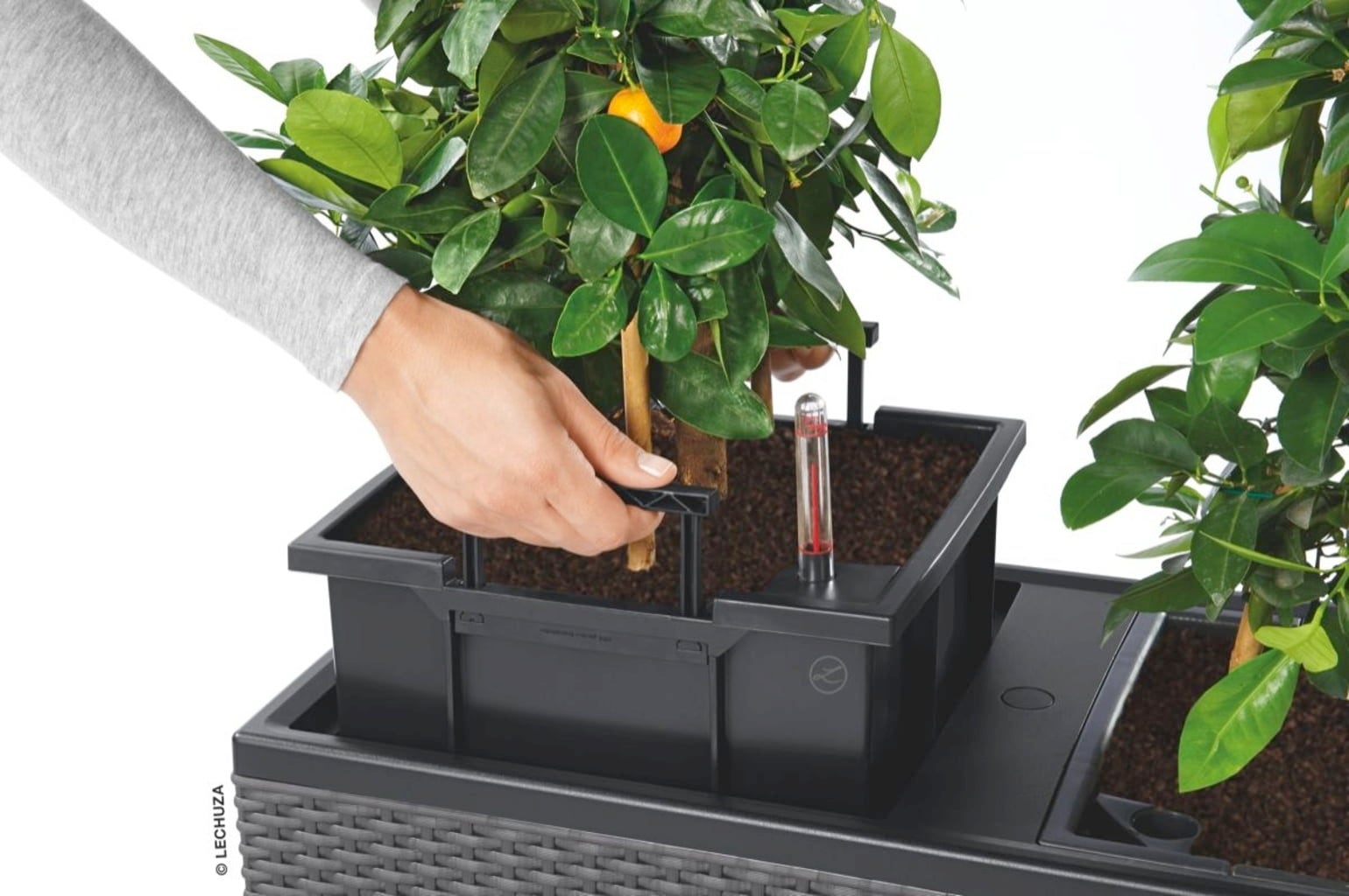 Lechuza TRIO Cottage 30 Planter