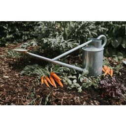 HAWS Watering Can - Warley Fall, 9 Litres - Zinc