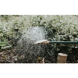 HAWS Watering Can - Warley Fall, 9 Litres - Green