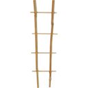 Windhager Bamboo Plant Support