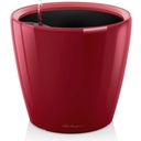 Lechuza CLASSICO Premium 43 LS Planter - Scarlet red high gloss