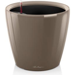 Lechuza Vaso - CLASSICO Premium 21 LS - Taupe lucido