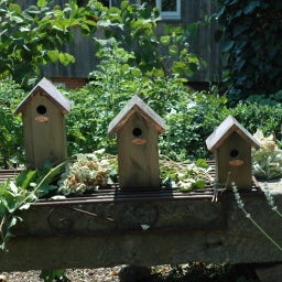 Esschert Design Blue Tit Nesting Box with a Copper Roof - 1 item