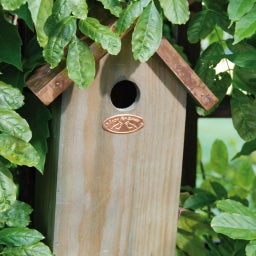 Esschert Design Blue Tit Nesting Box with a Copper Roof - 1 item