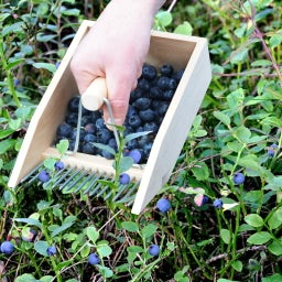 Esschert Design Berry Picker - 1 item