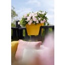 elho vibia campana flower bridge 40cm - Honey yellow