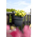 elho vibia campana easy hanger small - Anthracite