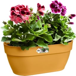 elho vibia campana wandampel 35 cm - honig gelb