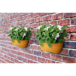 elho vibia campana wandampel 35 cm - honig gelb