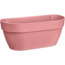 elho vibia campana wall basket, 35 cm - rosa cipria