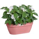 elho vibia campana wall pot 35cm - Powder pink