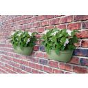 elho vibia campana wall pot 35cm - Pistachio green