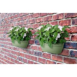 elho vibia campana wall pot 35cm - Pistachio green