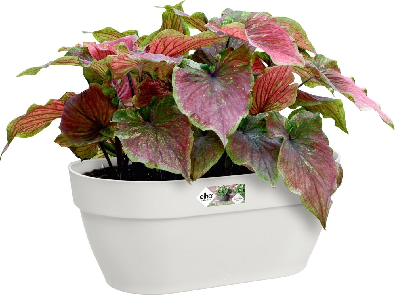 elho vibia campana Väggkruka 35 cm - silkesvit