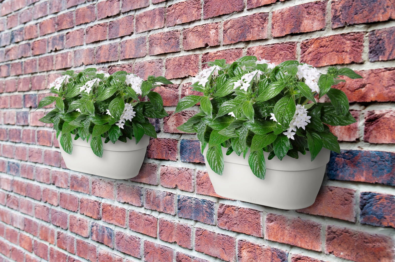 elho vibia campana Väggkruka 35 cm - silkesvit