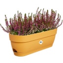 elho Balkonkasten vibia campana, 50 cm - honig gelb