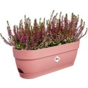 elho Balconnière VIBIA Campana - 50 cm - Rose poudré