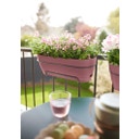 elho Balconnière VIBIA Campana - 50 cm - Rose poudré