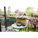 elho Balconnière VIBIA Campana - 50 cm - Rose poudré