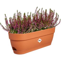 elho Balkonglåda vibia campana, 50 cm - terra