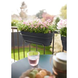 elho Vibia Campana Balcony Box - 50 cm - Anthracite