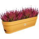 elho Vibia Campana Balcony Box - 70 cm - Honey yellow