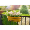 elho Vibia Campana Balcony Box - 70 cm - Honey yellow