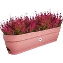 elho Balkonglåda vibia campana, 70 cm - puderrosa