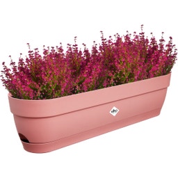 elho Balkonglåda vibia campana, 70 cm - puderrosa